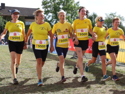 26ML3199k